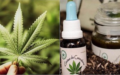 Congreso aprueba uso recreativo de la marihuana