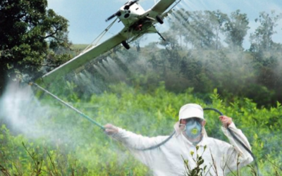 Colombia reanudará fumigación aérea contra cultivos de coca
