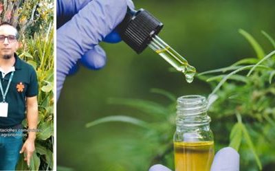 LA INDUSTRIA DEL CANNABIS EN CANDELARIA