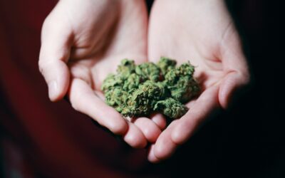 Derogan decreto que prohibía consumo de drogas en espacios públicos