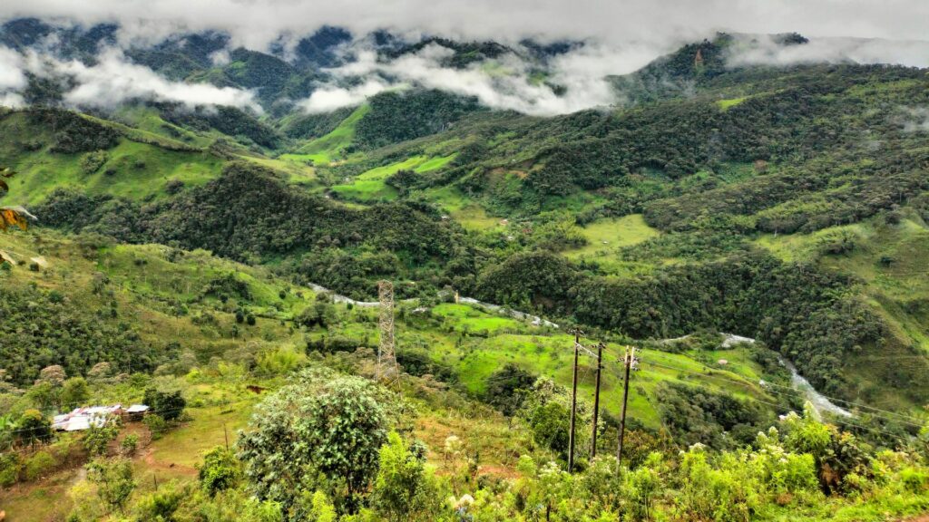 El Valle del Cauca busca ‘Reverdecer’ ecosistemas estratégicos en Dagua, La Cumbre y Vijes